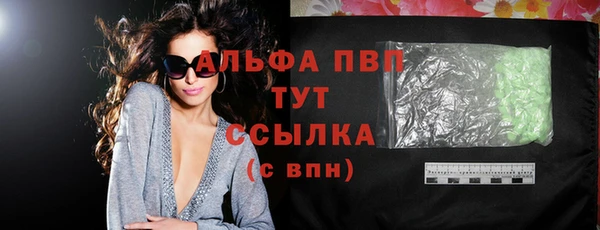 шишки Мегион