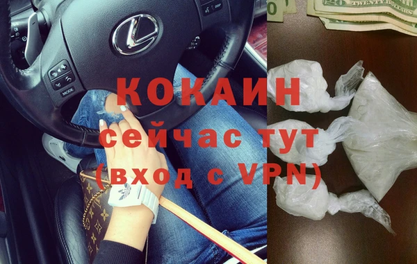 прущие грибы Медвежьегорск