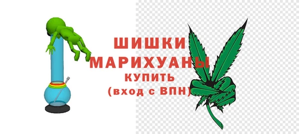 шишки Мегион