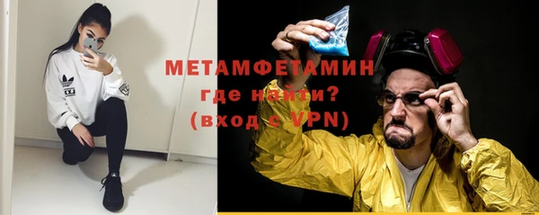 прущие грибы Медвежьегорск