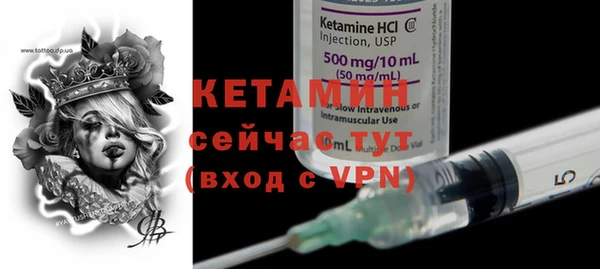 шишки Мегион