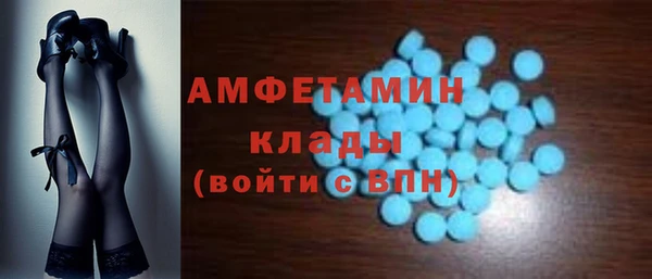 шишки Мегион