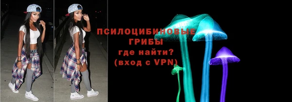 гашик Арсеньев