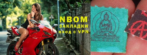 прущие грибы Медвежьегорск