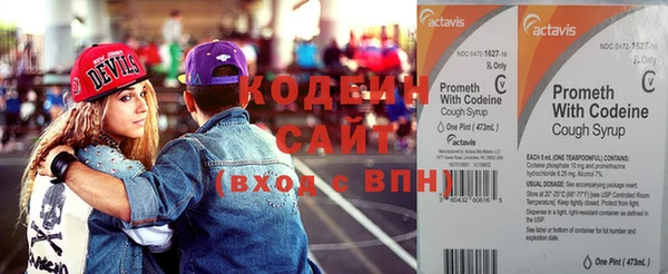 шишки Мегион