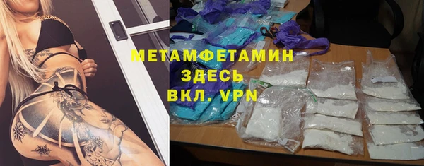 прущие грибы Медвежьегорск