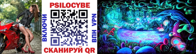 Галлюциногенные грибы Psilocybine cubensis  Белоусово 